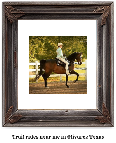 trail rides near me in Olivarez, Texas